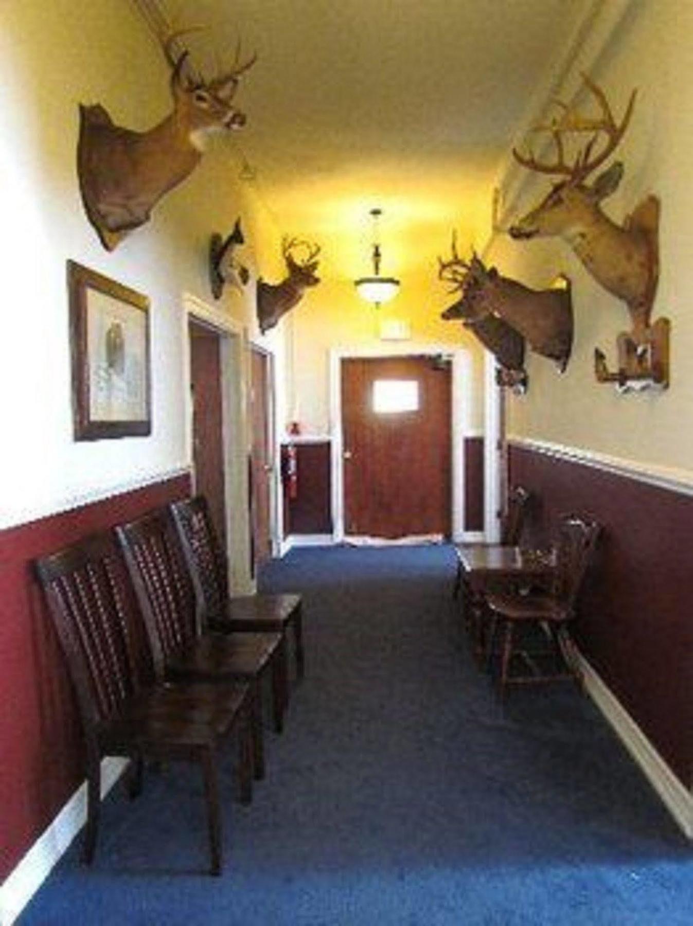 Macarthur Inn Narrows Exterior photo
